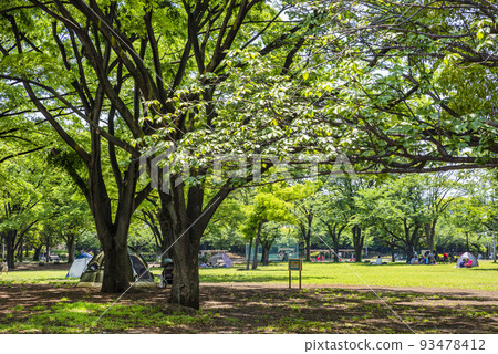 綠樹成蔭的新小岩公園風景 93478412