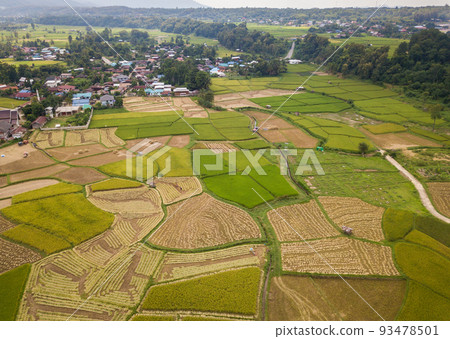 Aerial view of rice paddy field in Pua district a significant maize-growing area in Nan province of Thailand. Thailand has a strong tradition of rice production. Aerial view of rice paddy field in Pua district a significant maize-growing area in Nan province of Thailand. Thailand has a strong tradition of rice production. 93478501
