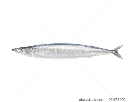 秋天的香魚 93478991