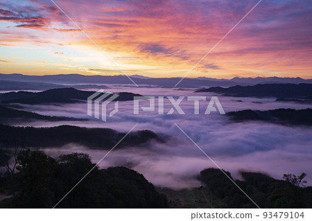 Superb view sea of clouds 93479104