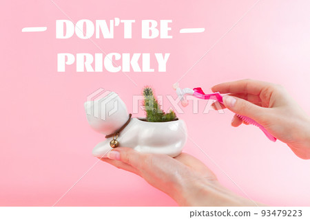 A woman's hands holding a razor and green cactus in a white flowerpot like cat, in palm on a pink background. The concept of depilation and removal unwanted hair on the body. Don't be prickly 93479223