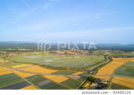 用無人機拍攝金澤平原的金色麥田和稻田 | 石川縣能美市 用無人機拍攝金澤平原的金色麥田和稻田 | 石川縣能美市 93480120