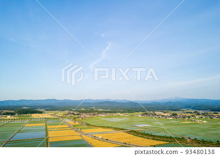 A drone shot of the Kanazawa Plain with golden wheat fields and rice fields | Nomi City, Ishikawa Prefecture 93480138