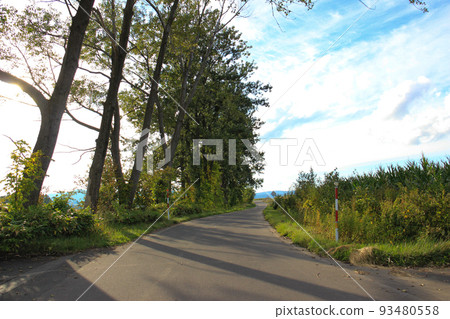 秋天穿過山丘的路 秋天穿過山丘的路 93480558