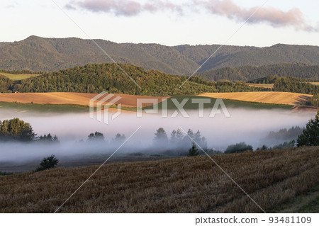 Morning fog hill 93481109