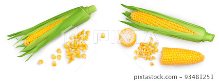 ear of corn isolated on a white background. Top view. Flat lay. 93481251