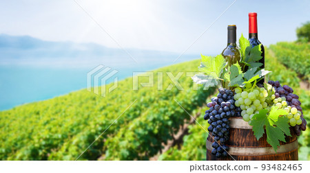 Red and white wine bottles and grapes on wine barrel 93482465
