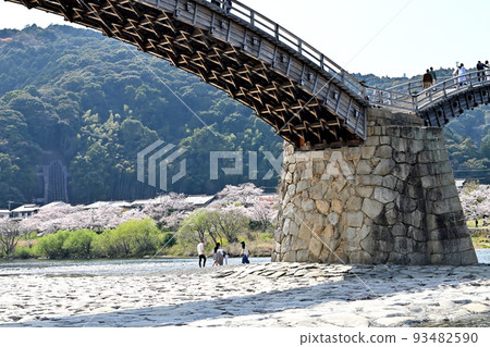 岩國市錦帶橋和櫻花 岩國市錦帶橋和櫻花 93482590