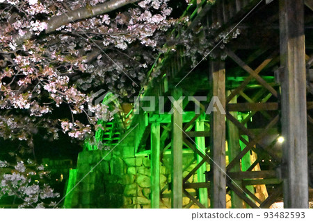岩國市錦帶橋和櫻花的夜景 岩國市錦帶橋和櫻花的夜景 93482593