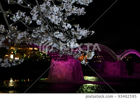 岩國市錦帶橋和櫻花的夜景 岩國市錦帶橋和櫻花的夜景 93482595
