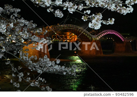 岩國市錦帶橋和櫻花的夜景 岩國市錦帶橋和櫻花的夜景 93482596