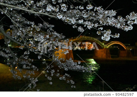 岩國市錦帶橋和櫻花的夜景 岩國市錦帶橋和櫻花的夜景 93482597