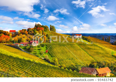 Stunning vineyards landscape in South Styria near Gamlitz. Stunning vineyards landscape in South Styria near Gamlitz. 93483742