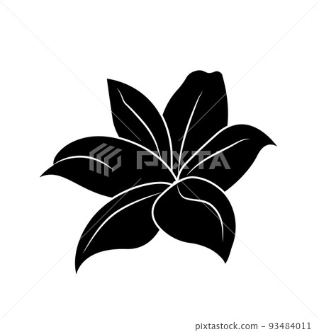 Lily silhouette, logo or tattoo, decorative flower isolated on white background. Floral illustration, nature 93484011