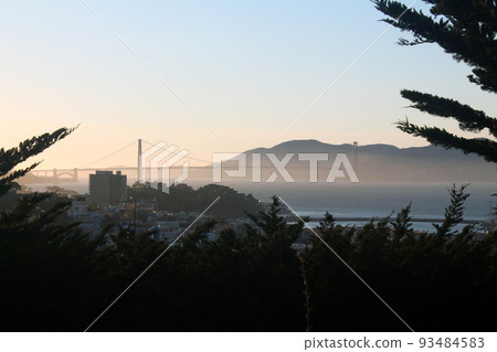 The Golden Gate bridge behind the trees 93484583
