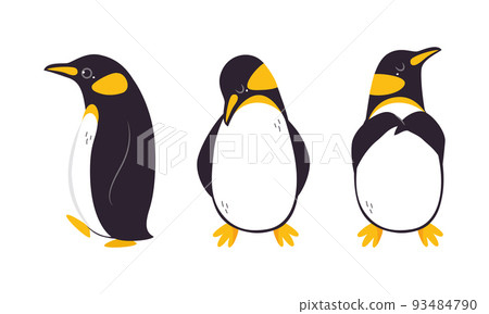 Set of emperor penguins in different poses. Cute antarctic bird. Symbol of cold and winter flat vector illustration 93484790