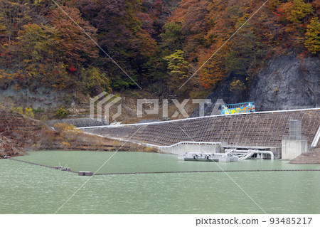 An amphibious bus that runs along the shores of Lake Yashio 93485217