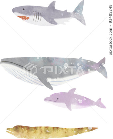 Illustration of various fish 93485249