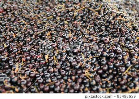 Close up of black berries in a market in North Europe Close up of black berries in a market in North Europe 93485659