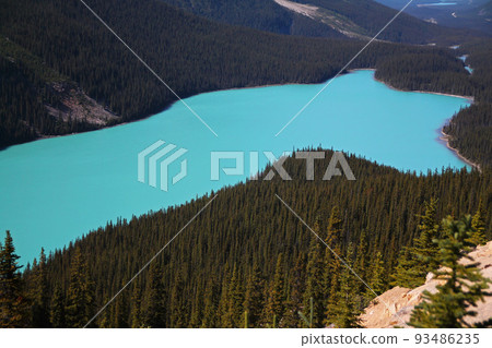 Dramatic turquoise color of the water of Peyto Lake 93486235