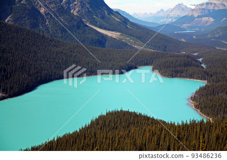 Peyto Lake with its dog shape and turquoise water Peyto Lake with its dog shape and turquoise water 93486236