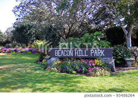 Beacon Hill Park sign, flowers and trees in Victoria Beacon Hill Park sign, flowers and trees in Victoria 93486264
