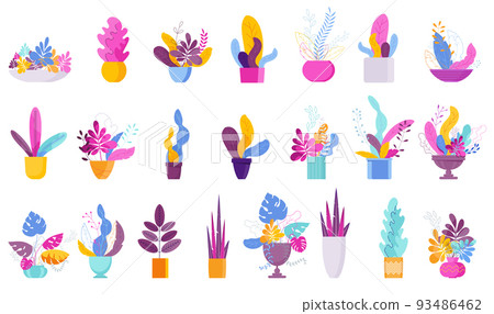 Potted plant. Houseplant in a vase. Home decor. Potted plant. Houseplant in a vase. Home decor. 93486462