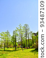 公園風景——樹木、草地、建築物等。 93487109