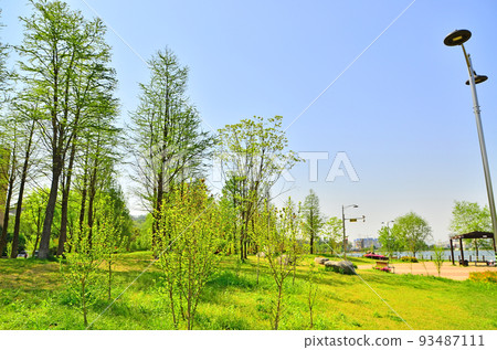 公園風景——樹木、草地、建築物等。 93487111