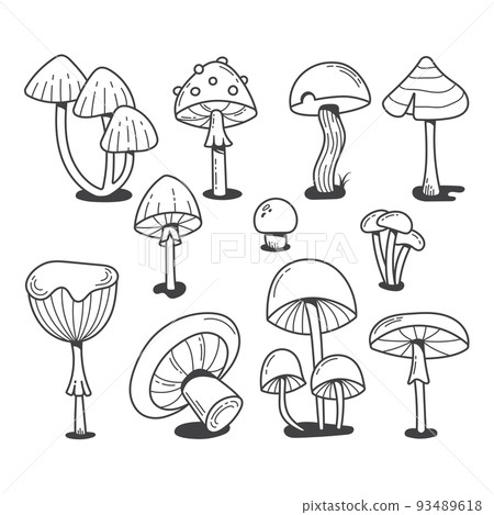 Different mushrooms drawn in doodle style. Black and white line art illustration in a hand-drawn style. Pictures are great to use as a design element for prints, banners, posters, stickers, labels Different mushrooms drawn in doodle style. Black and white line art illustration in a hand-drawn style. Pictures are great to use as a design element for prints, banners, posters, stickers, labels 93489618