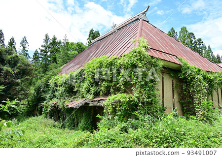 Overgrown countryside ruins Overgrown countryside ruins 93491007