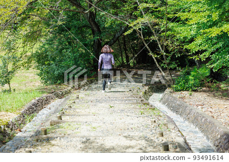 Woman in sportswear practicing trail running Woman in sportswear practicing trail running 93491614