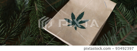 Paper bag with marijuana lying among green christmas tree branches closeup 93492397