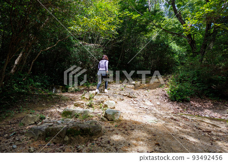 Woman wearing sportswear practicing trail running 93492456
