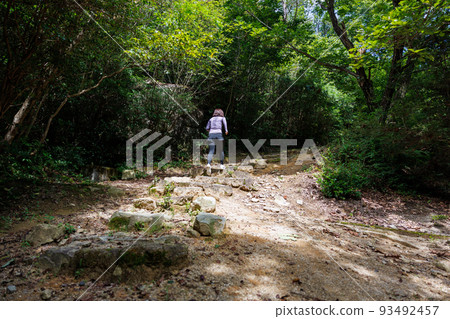 穿著運動服練習越野跑的女人 93492457