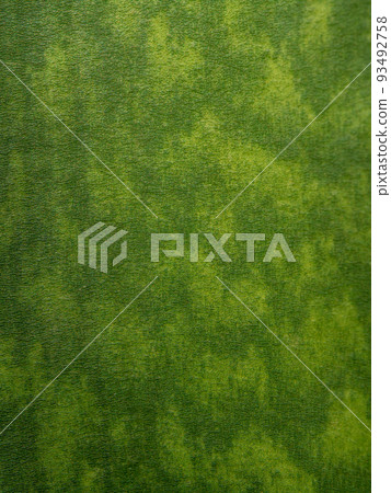 Succulent plant close-up texture detail on leaves of Agave plant 93492758