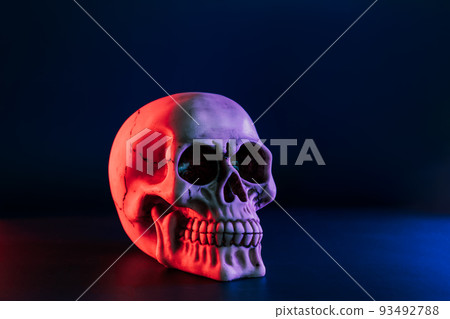Side view of model of the human skull in neon red and blue lights on the dark background. Concept of terror, physiology learning and drawing. Halloween decor concept. Selective focus, copy space Side view of model of the human skull in neon red and blue lights on the dark background. Concept of terror, physiology learning and drawing. Halloween decor concept. Selective focus, copy space 93492788