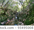 Small waterfall and riverbed in the mountains 93495008