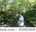 A small waterfall flowing through a clear stream 93495009