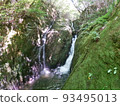 Mossy rocks and waterfall 93495013