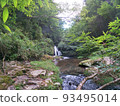 Waterfall surrounded by trees 93495014