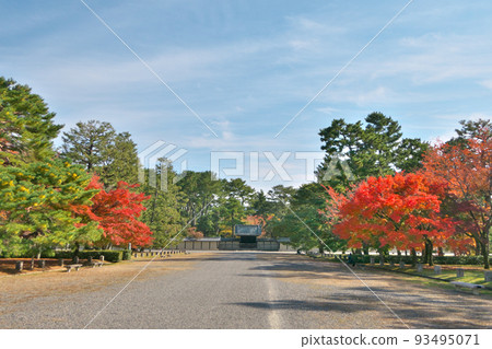 Autumn leaves of maples at their best ~ Scenery in front of the main gate of Kyoto Sento Imperial Palace Autumn leaves of maples at their best ~ Scenery in front of the main gate of Kyoto Sento Imperial Palace 93495071