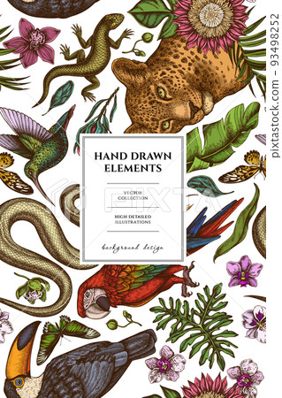 Tropical animals pattern card design. Hand drawn leopard, snake, lizard, hummingbird, toucan, scarlet macaw, rajah brooke's birdwing, african giant swallowtail, monstera, banana palm leaves 93498252