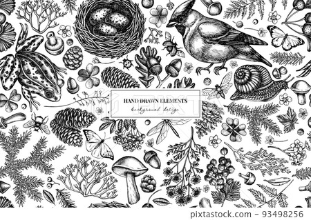 Mysterious forest seamless pattern background design. Engraved style. Hand drawn waxwing, snail, nest, pool frog, moss, spruce branch, pine cones, chamomile, insect, aspen mushroom, red currant, oak 93498256