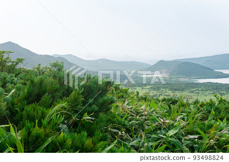 natural landscape of Kunashir island, view of the Golovnin volcano caldera with hot lake, focus on nearby plants natural landscape of Kunashir island, view of the Golovnin volcano caldera with hot lake, focus on nearby plants 93498824