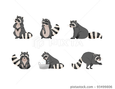 Cute raccoons set. Funny gray coon with striped tail in everyday activities cartoon vector illustration 93499806