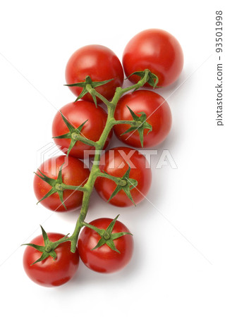 Bunch of fresh, red tomatoes with green stems isolated 93501998