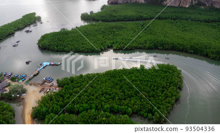Aerial view of Thai traditional longtail fishing boats at the pier in Phang Nga Bay in the Andaman Sea, Thailand. Top view of many fishing boats floating in the sea among mangrove forest. 93504336