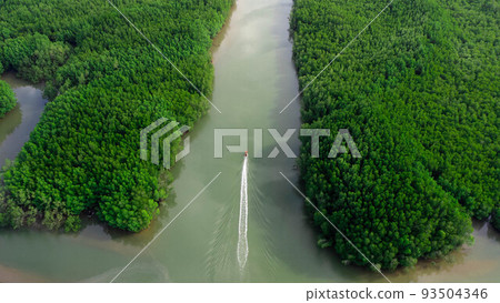 Aerial view of a Thai traditional longtail boat sailing in Phang Nga Bay among the fertile mangrove forests of the Andaman Sea, Thailand. Aerial view of a Thai traditional longtail boat sailing in Phang Nga Bay among the fertile mangrove forests of the Andaman Sea, Thailand. 93504346