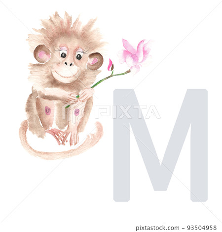 Letter M, monkey, cute kids animal ABC alphabet. Watercolor illustration isolated on white background. Can be used for alphabet or cards for kids learning English vocabulary and handwriting 93504958